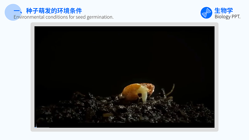 第一节 种子的萌发 课件第5页