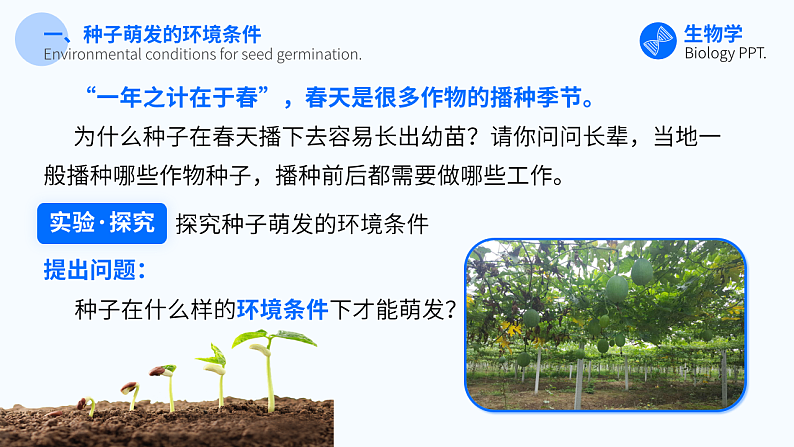 第一节 种子的萌发 课件第7页