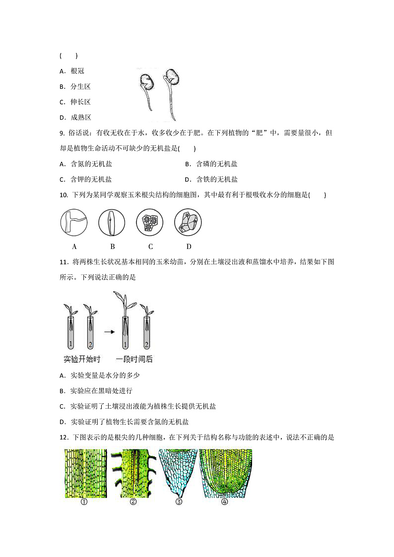 第二节 植株的生长 练习第2页