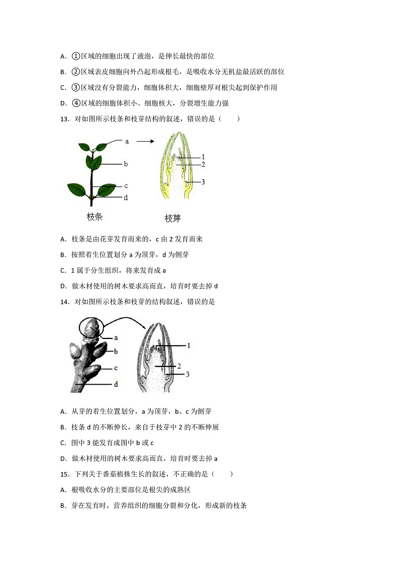 第二节 植株的生长 练习第3页