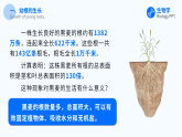 人教版（2024）生物 七年级下册 3.1.2 植株的生长 【省心备课】同步课件+教学设计+课后练习（含答案）+备课素材