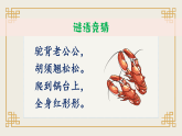 人教部编版语文三下 15《小虾》课件+音视频素材