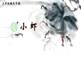 人教部编版语文三下 15《小虾》课件+音视频素材