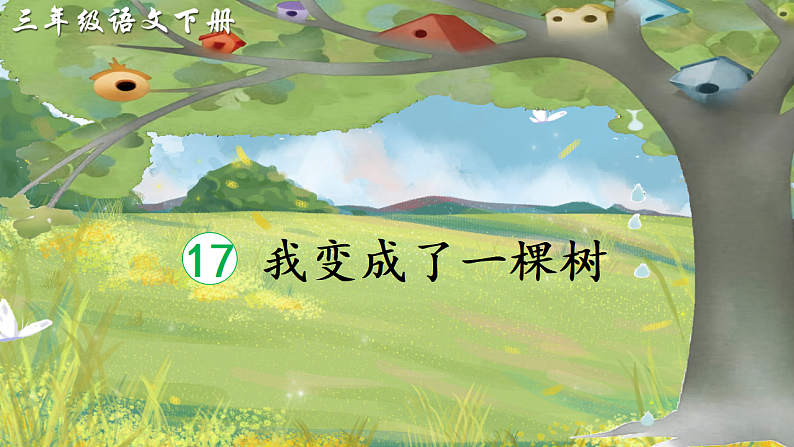 17 我变成了一棵树第2页