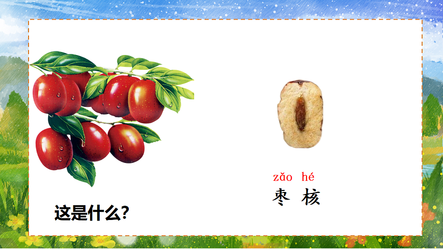 三年级下册枣核获奖课件ppt