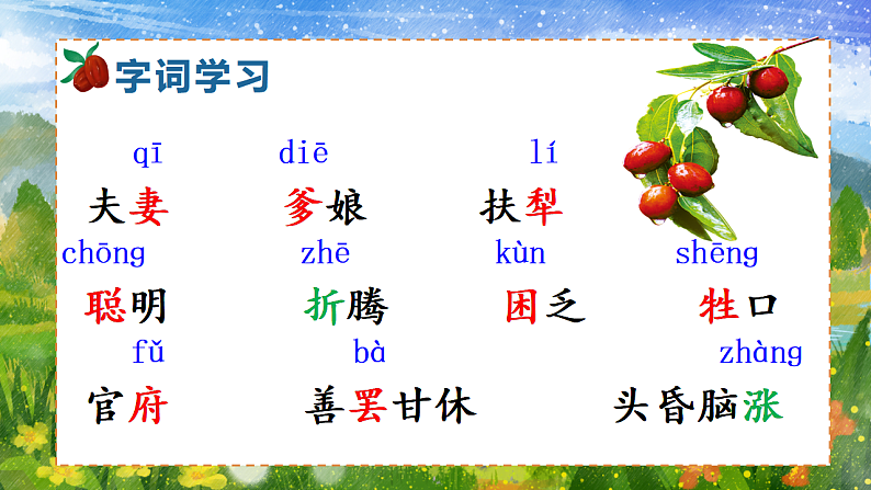 28 枣核第6页