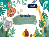 Unit7 Animals lead-in & cartoon time（课件）-2024-2025学年译林版（三起）（2024）英语三年级下册