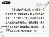 人教部编版初中语文七年级下册 《10.阿长与山海经》课件+教案