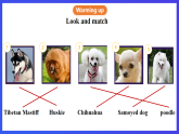 滬教牛津版（六三制）英語八下 Unit 6《 Pets》第2課時(shí)Reading II+Listening 課件+教案+分層練習(xí)（含答案）+音頻