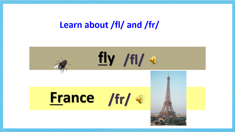 沪教牛津版(六三制)英语七下Unit 3 《Our animal friends 》Writing 课件第3页