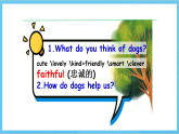 滬教牛津版(六三制)英語七下Unit 3《 Our animal friends》 Reading課件