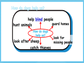 滬教牛津版(六三制)英語七下Unit 3《 Our animal friends》 Reading課件