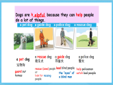 滬教牛津版(六三制)英語七下Unit 3《 Our animal friends》 Reading課件