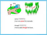 滬教牛津版(六三制)英語七下Module 2 Man's best friends.Unit 3 《Our animal friends》 Grammar+More Practice課件