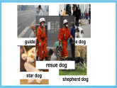 滬教牛津版(六三制)英語七下Module 2Unit 3《 Man’s best friends 》  課件