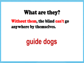 滬教牛津版(六三制)英語七下Module 2Unit 3《 Man’s best friends 》  課件