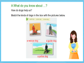 滬教牛津版(六三制)英語七下Unit 3 《Our animal friends》 Reading2課件