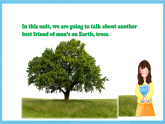 滬教牛津版(六三制)英語(yǔ)七下Unit 4 《Save the trees》 Reading課件