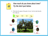 滬教牛津版(六三制)英語(yǔ)七下Unit 4 《Save the trees》 Reading課件