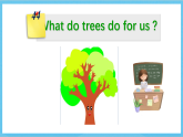 滬教牛津版(六三制)英語(yǔ)七下Unit 4 《Save the trees》 Reading課件