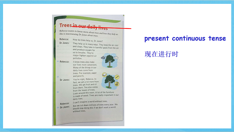 沪教牛津版(六三制)英语七下Unit 4 《Save the trees》Grammar 课件第3页