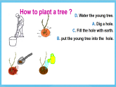 滬教牛津版(六三制)英語七下Unit4 《Save the trees 》( Writing ) 課件