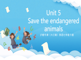 滬教牛津版(六三制)英語七下Module 3  Unit 5《 Water 》Reading-The Giant Panda 課件