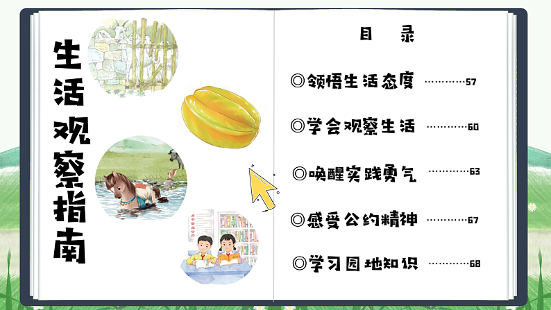 课文13 画杨桃 课件第1页