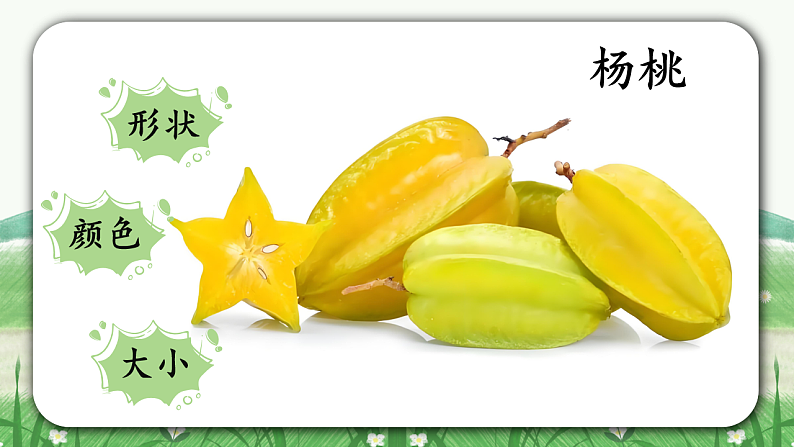 课文13 画杨桃 课件第4页