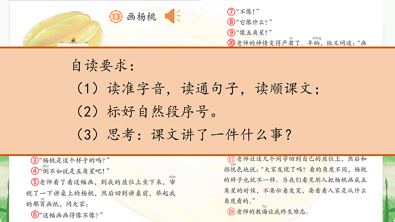 课文13 画杨桃 课件第6页