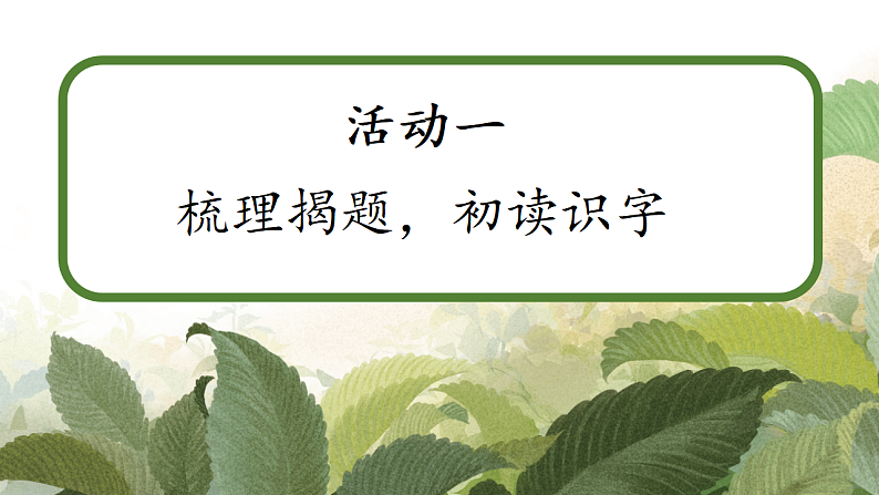 课文22 小毛虫 课件第4页