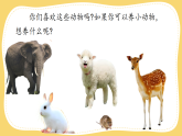部编版语文二年级下册第七单元《写话：我想养只小动物》课件+教案+逐字稿