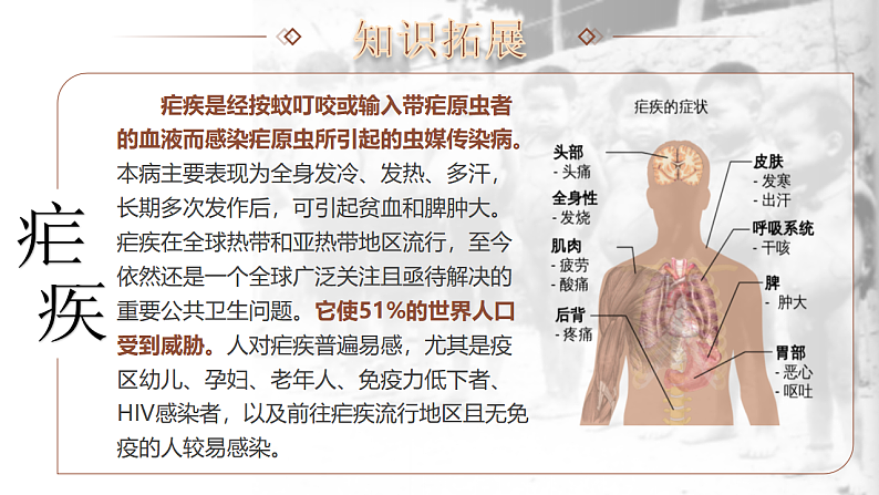16662933第8页