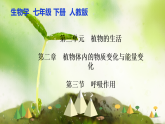 【核心素养】人教版初中生物七年级下册3.2.3《呼吸作用》课件＋教案（含教学反思）