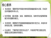 【核心素养】人教版初中生物七年级下册3.2.3《呼吸作用》课件＋教案（含教学反思）