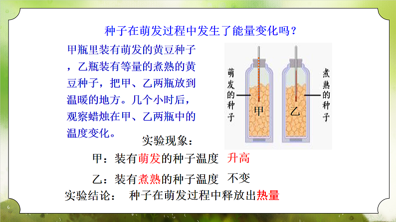 【核心素养】人教版初中生物七年级下册3.2.3《呼吸作用》课件第6页