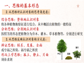 人教版选择性必修3高中思想政治 1.2《思维形态及其特性》课件PPT
