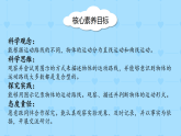 【核心素养】1.3《直线运动和曲线运动》课件+教案（教科版科学三下）