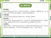 【核心素养】2.4《蚕变了新模样》课件+教案（教科版科学三下）