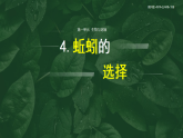 【核心素养】1.4《蚯蚓的选择》课件+教案（教科版科学五年级下册）