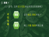 【核心素养】1.4《蚯蚓的选择》课件+教案（教科版科学五年级下册）