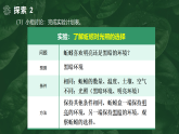 【核心素养】1.4《蚯蚓的选择》课件+教案（教科版科学五年级下册）
