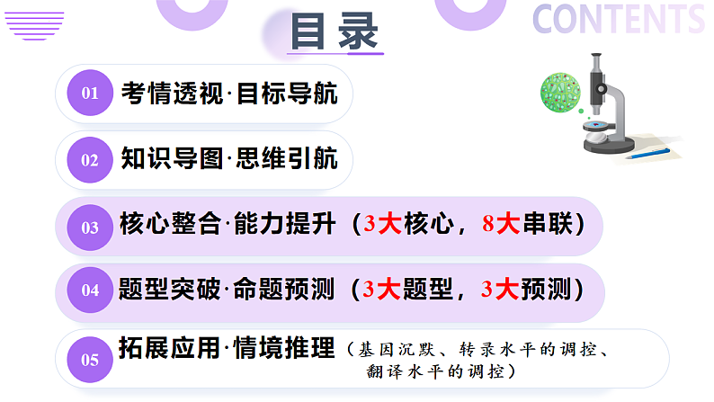 16669198第2页