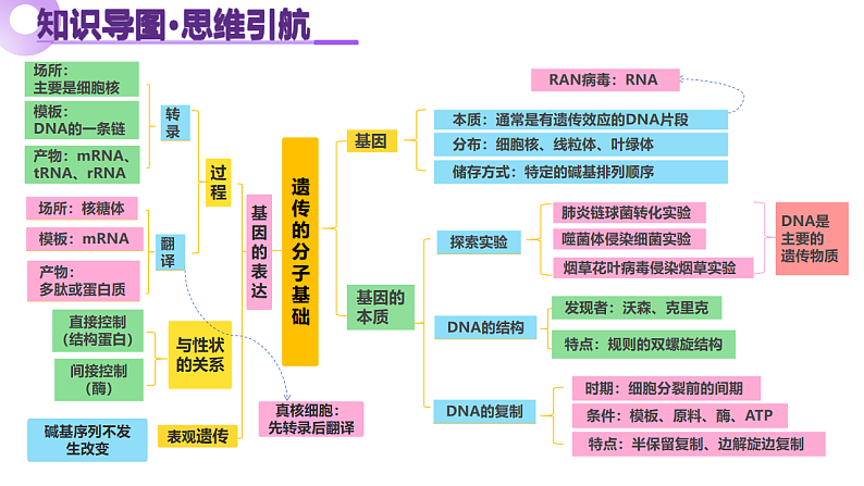 16669198第5页