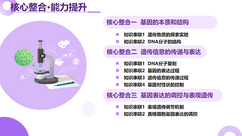 16669198第6页