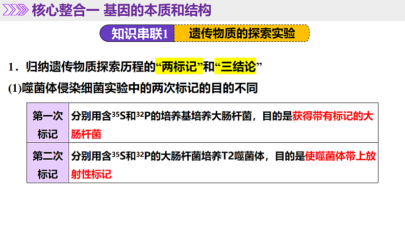 16669198第7页