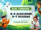 【核心素養(yǎng)優(yōu)質課】冀少版生物七年級下冊 3.1.1消化系統(tǒng)的組成（課件+同步教案+導學案+分層作業(yè)）