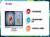 【核心素養(yǎng)優(yōu)質課】冀少版生物七年級下冊 3.1.1消化系統(tǒng)的組成（課件+同步教案+導學案+分層作業(yè)）
