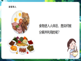 【核心素養(yǎng)優(yōu)質課】冀少版生物七年級下冊 3.1.1消化系統(tǒng)的組成（課件+同步教案+導學案+分層作業(yè)）