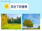 美術(shù)嶺南版一年級(jí)下冊(cè) 第5課《陽(yáng)光下成長(zhǎng)》課件+教案